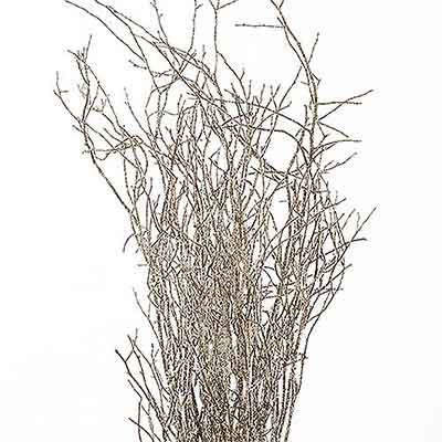 Sweet Huck Branches - Gold Winter Sparkle