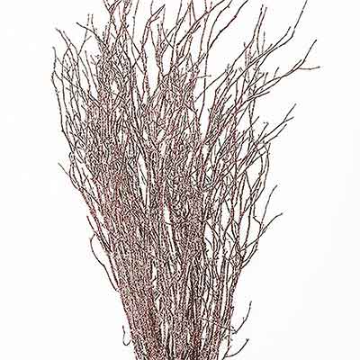 Sweet Huck Branches - Red Winter Sparkle