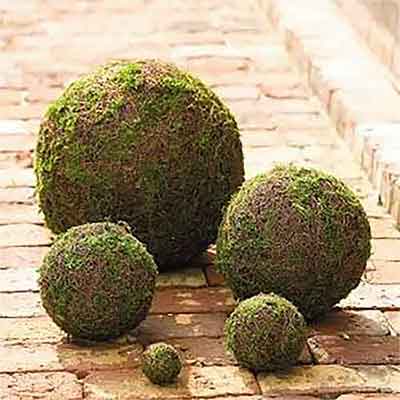 Scattered Moss Balls 2 inch