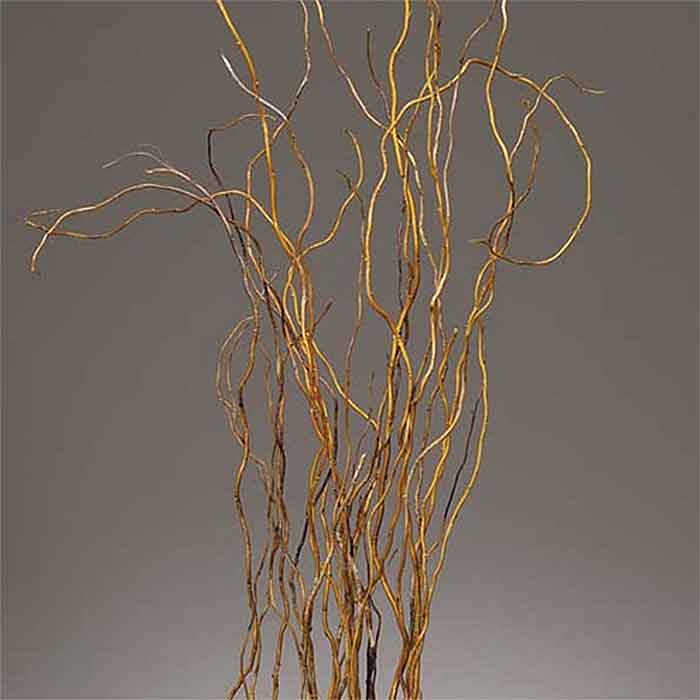 Corkscrew Willow Decorative Branches Curly Willow Branches Bleach