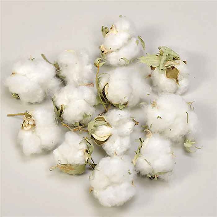 Wholesale Cotton Products