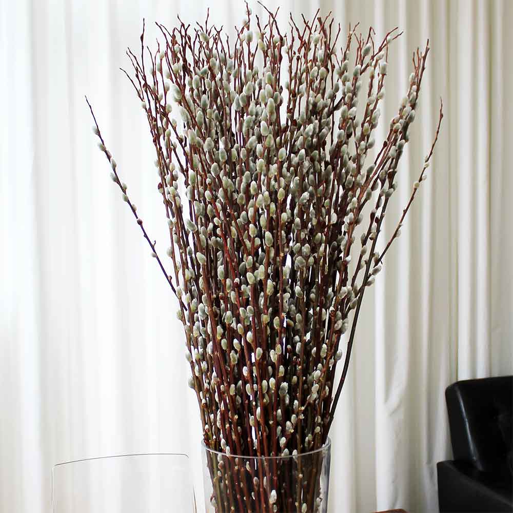 15 Top Pictures Tall Decorative Branches : Decorative Branches | Straight Willow Branches - Brown